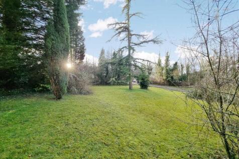 Garden continued