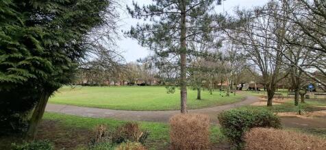 Park (1).jpg
