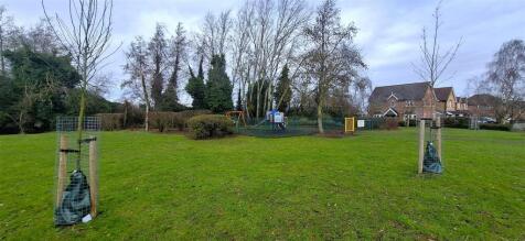 Local Park (3).jpg