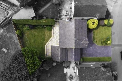 DJI_0600.jpg