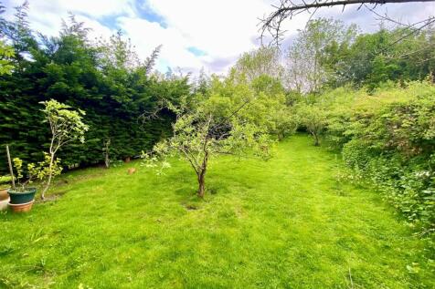 Orchard.jpg