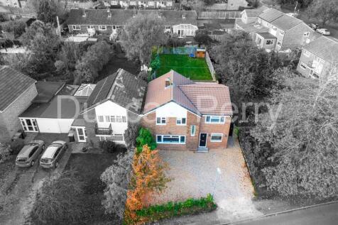 DJI_0987.jpg