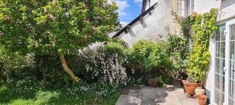 New garden 1.jpg