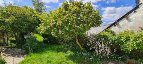 New garden 2.jpg