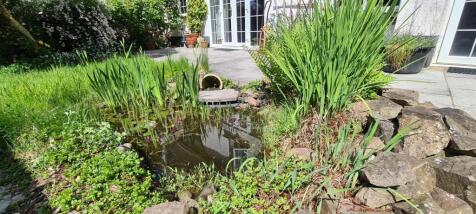 New garden 3.jpg