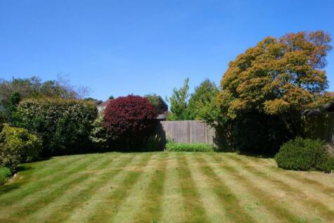 NEW GARDEN SHOT.jpg