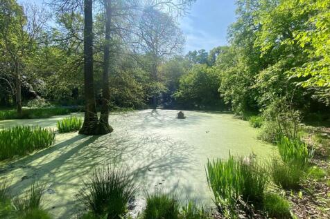 Pond 2 Pott.jpg