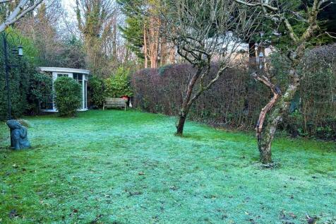 Garden 3.jpg