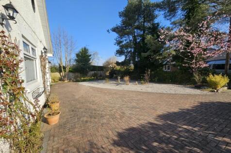 Driveway and Front Garden