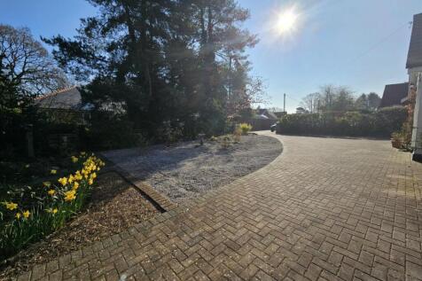 Driveway and Front Garden