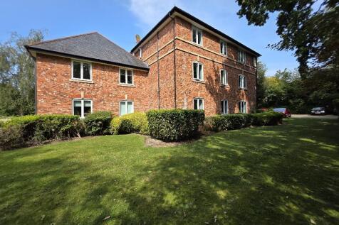 Rear Elevation