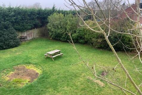 Garden 1.jpg