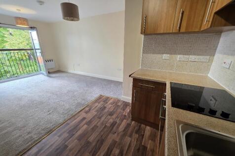 Kitchen to Living/Dining Room