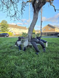 Wexford Walk Feature Planting