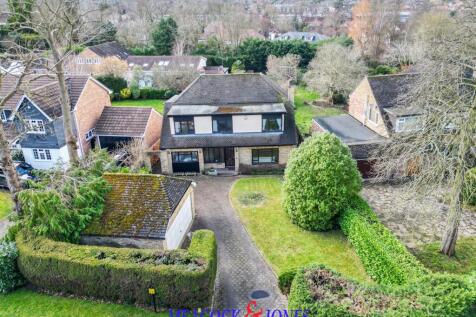 DJI_0046 copy.jpg