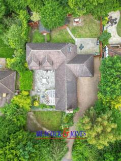 DJI_0401.jpg