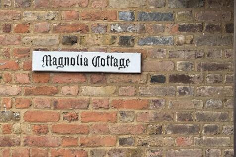 Magnolia.jpg