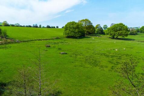 The Meadows (1).jpg