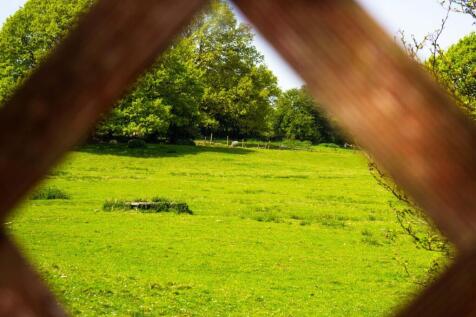 The Meadows (15).jpg