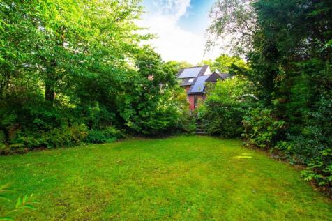 garden 3.jpg