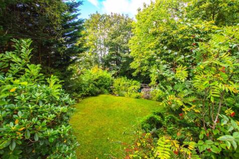 garden.jpg