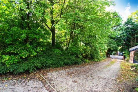 driveway.jpg