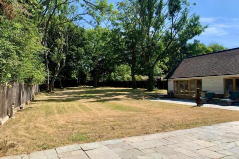 garden.jpg
