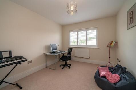 Hastings-1019 - study.jpg