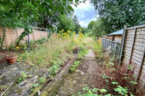 garden 1.jpg