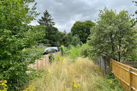 garden.jpg