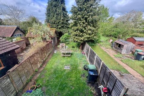 garden 2.jpg