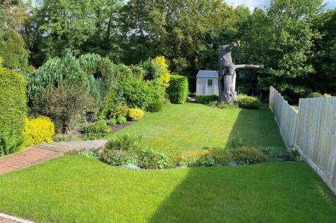 RearGarden.jpg