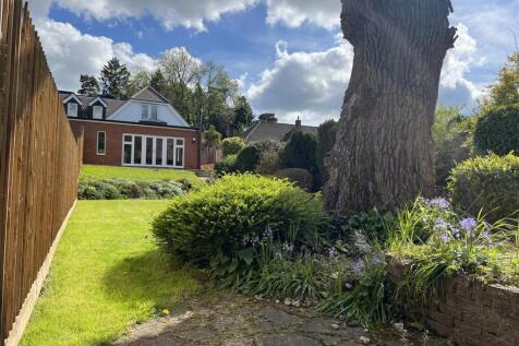 garden looking back.jpeg