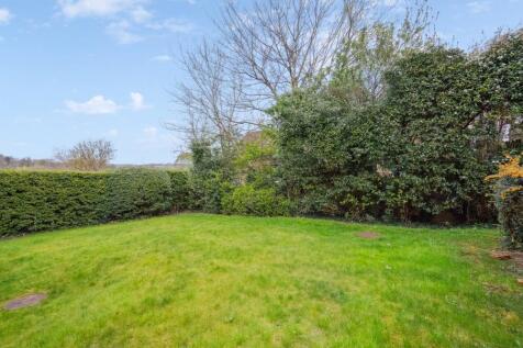 DSC00853 - 800px.jpg