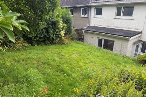 back garden