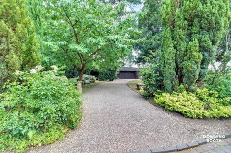 Property Image 39