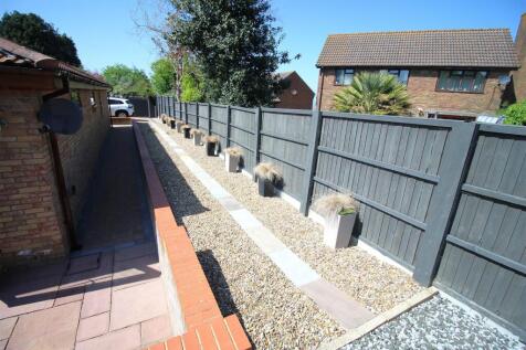 garden 2.JPG