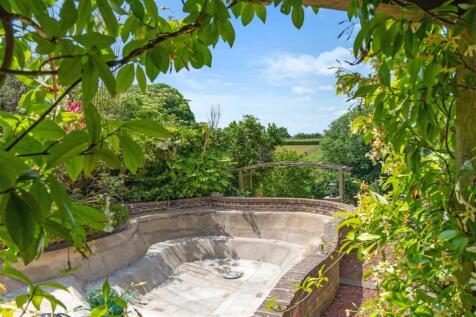 Fish Pond