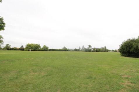 field.JPG