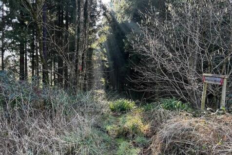 Sunshine through the