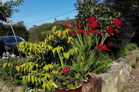Cottage gardens