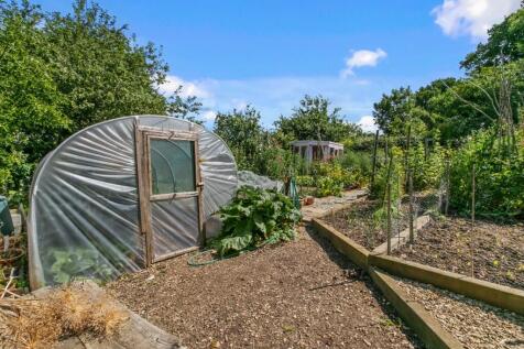 Vegetable garden