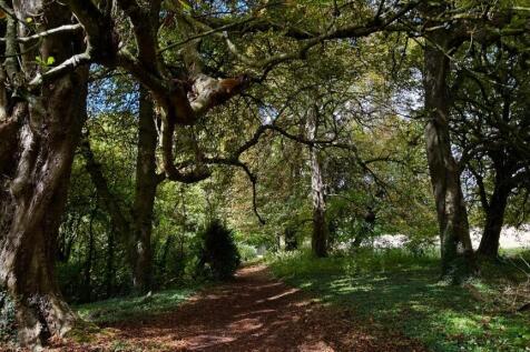 Woodland