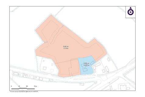 Pink &#61; Lot 1