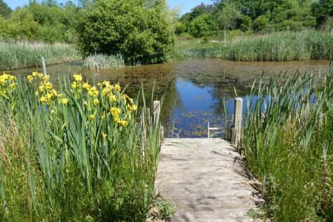 Property Image 23