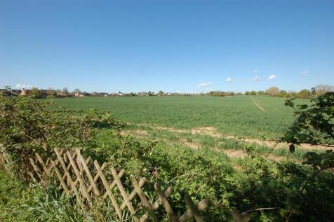 DSC_0063.JPG