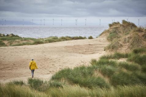 Formby Merseyside, England. PICTURED National trust wood and beach front