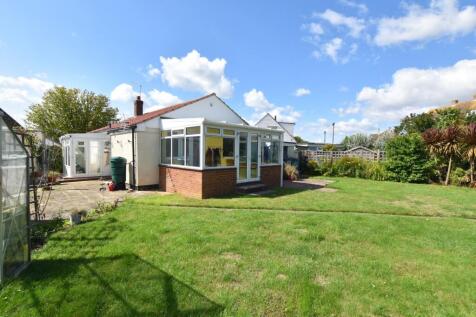 3 Chestnut Blue Sky (5).JPG