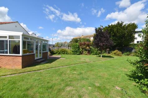 3 Chestnut Blue Sky (4).JPG