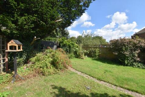 3 Chestnut Blue Sky (6).JPG